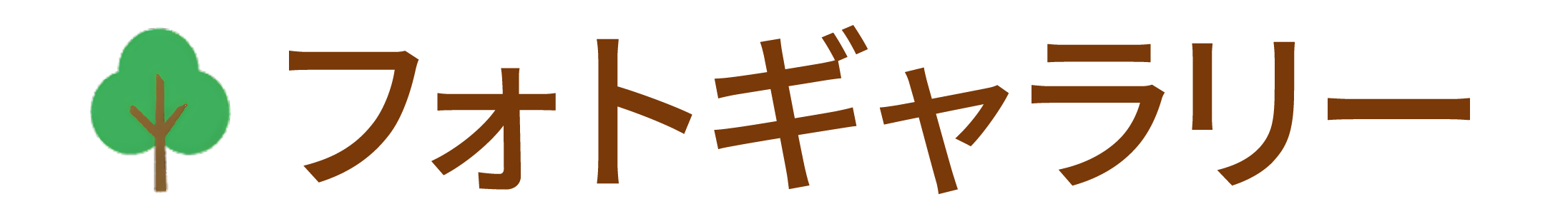 フォトギャラリー